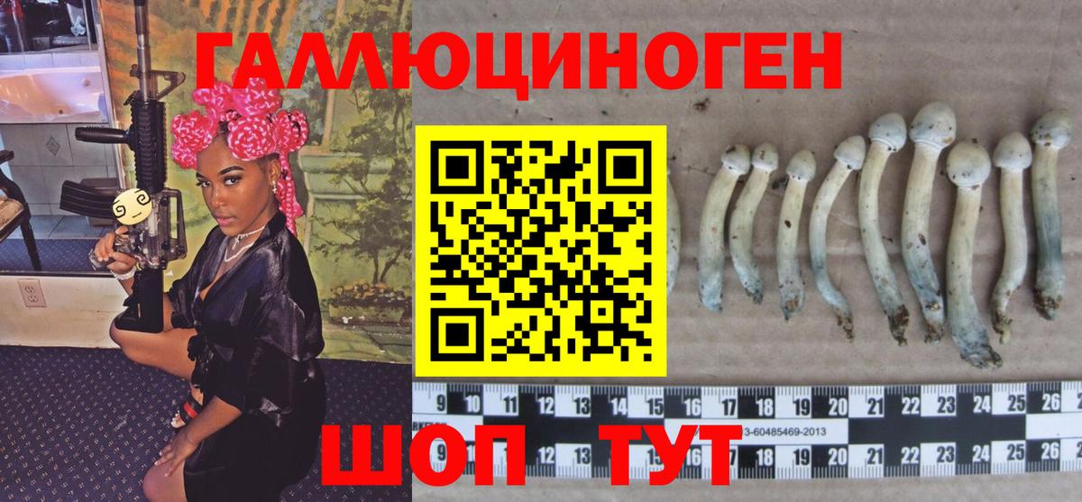 Псилоцибиновые грибы Psilocybine cubensis Новотроицк